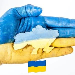 Meet your Posher, Bernadette